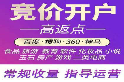 SEM广告投放策略案例分析